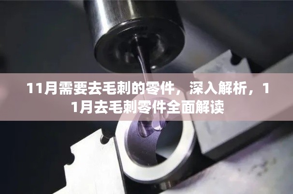 11月去毛刺零件深度解析与全面解读