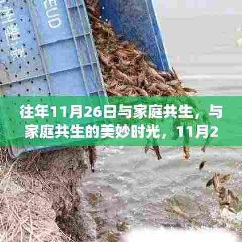 11月26日，家庭共生与自然探索之旅的美妙时光