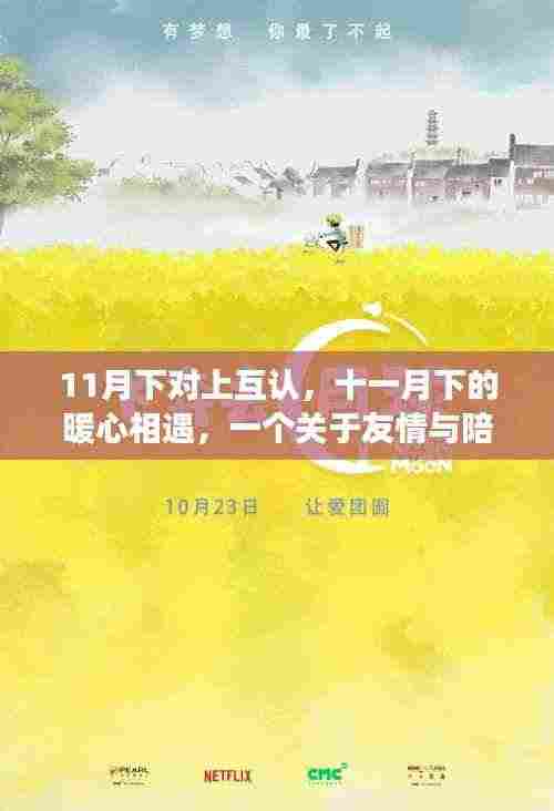 暖心相遇，11月的友情与陪伴故事