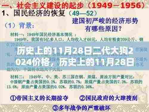 历史上的11月28日，二代大狗2024价格走势探究