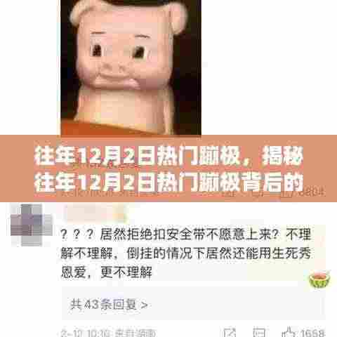 揭秘,为何每年12月2日热门蹦极背后的三大要素解析