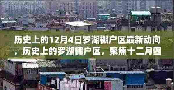 历史上的罗湖棚户区，聚焦十二月四日的最新动向与观点碰撞