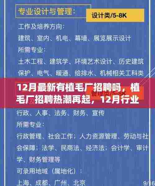 植毛厂招聘热潮再现,行业洞察与前景展望(12月最新招聘信息)