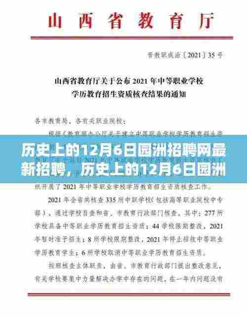 历史上的12月6日园洲招聘网最新招聘探析,揭示值得关注的就业现象