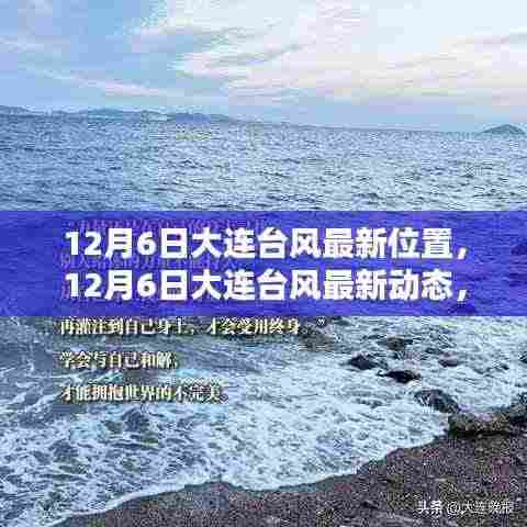 大连台风最新动态及路径分析,12月6日台风影响与位置报告
