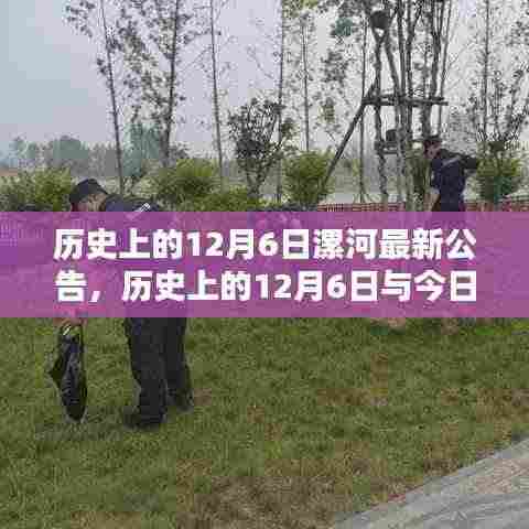 历史上的12月6日与今日漯河的最新公告,时光印记的探寻