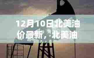 12月10日北美油价震荡的最新动态与深远影响分析