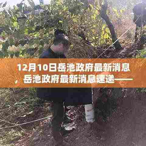 岳池政府最新消息速递,12月10日要点解析