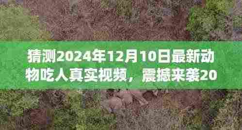 揭秘动物观察者智能视频系统,震撼捕捉动物吃人瞬间,科技巨献揭秘未来观察新纪元