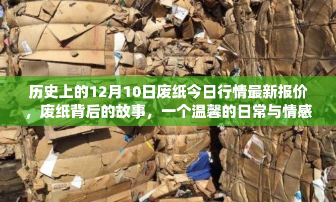 废纸背后的故事,历史行情、日常情感与纽带连结的温馨之旅