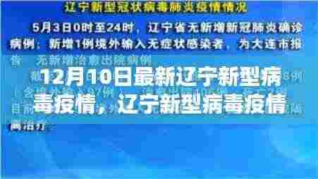 辽宁新型病毒疫情下的励志篇章,学习、信心与成就感的源泉在变化中成长