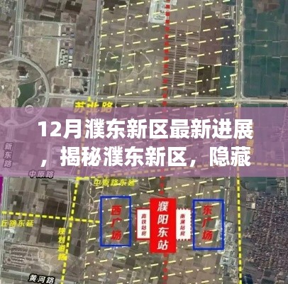 揭秘濮东新区,巷子深处的独特小店与最新进展的奇迹之旅揭秘濮东新区最新进展。