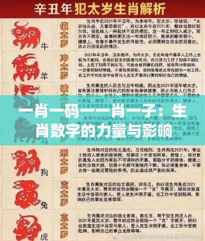 一肖一码一一肖一子:生肖数字的力量与影响
