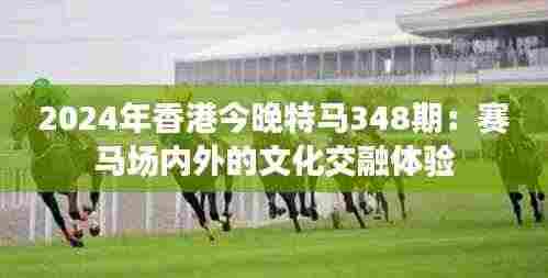 2024年香港今晚特马348期:赛马场内外的文化交融体验