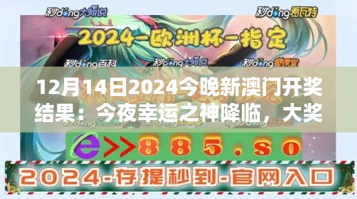 12月14日2024今晚新澳门开奖结果:今夜幸运之神降临,大奖揭晓