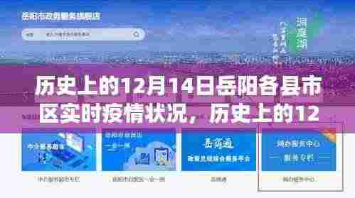 历史上的12月14日岳阳疫情实录与时代记忆,实时疫情状况与各地实录回顾