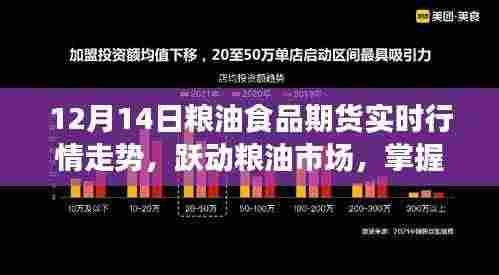 跃动粮油市场,掌握期货行情,成就梦想之路——12月14日粮油食品期货实时行情解析