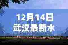 武汉最新水位实时查询系统评测与介绍，实时掌握水位动态，保障城市安全