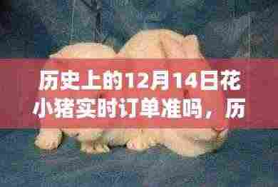 历史上的12月14日花小猪实时订单准确性探讨
