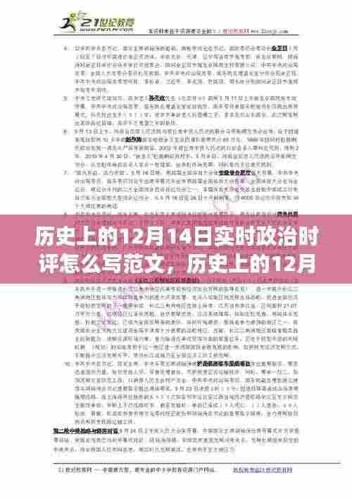 历史上的12月14日政治时评撰写指南，特性、体验、竞品对比与用户分析全解析