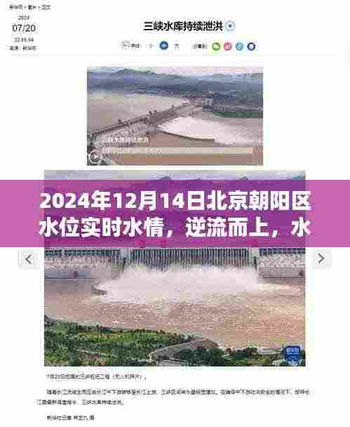 北京朝阳区水位实时水情启示录，逆流而上，水情中的励志之歌（2024年12月14日）