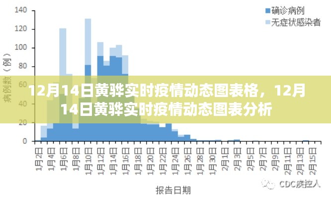 12月14日黄骅实时疫情动态图表分析与解读