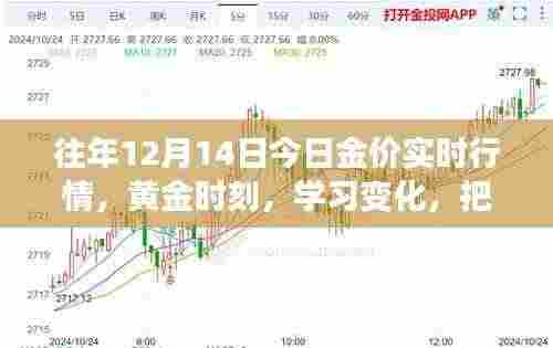 黄金时刻,把握行情,自信闪耀的励志之旅——历年12月14日金价实时行情解析