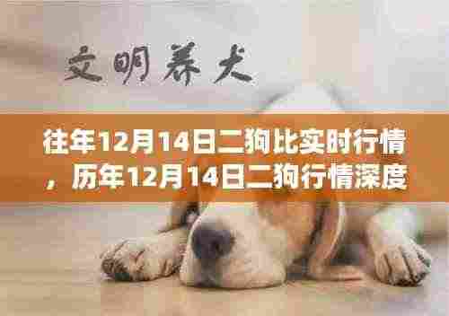 历年12月14日二狗行情深度解析,背景、事件与影响概览