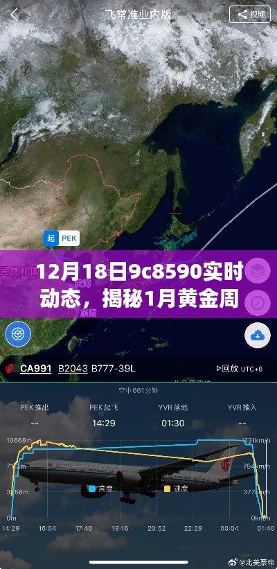 揭秘黄金周航班动态,9C8590实时动态与体验分享