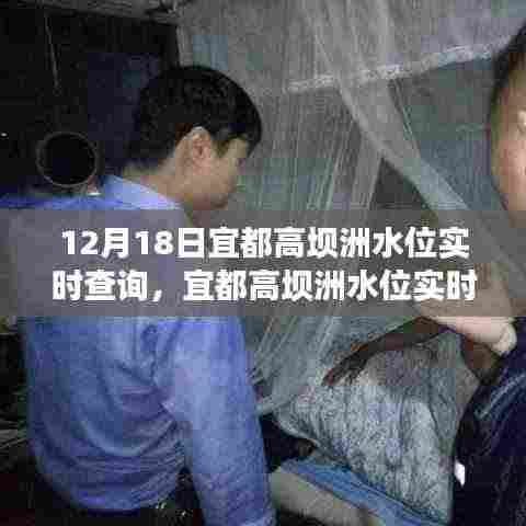 宜都高坝洲水位实时查询系统,全面解读与深度分析,掌握最新水位动态(12月18日)