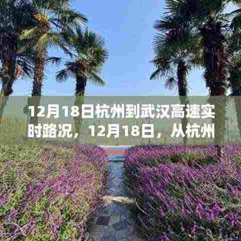 12月18日杭州至武汉高速实时路况，心灵之旅的奇遇与宁静之路