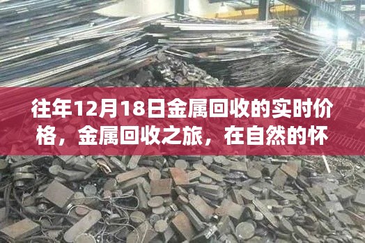 金属回收实时价格,在自然的怀抱中探寻内心的宁静与喜悦之旅