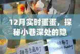 探秘小巷深处的隐藏美食,12月实时蛋蛋之旅