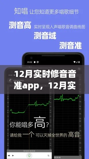 12月实时修音音准app,科技之音的优劣探讨