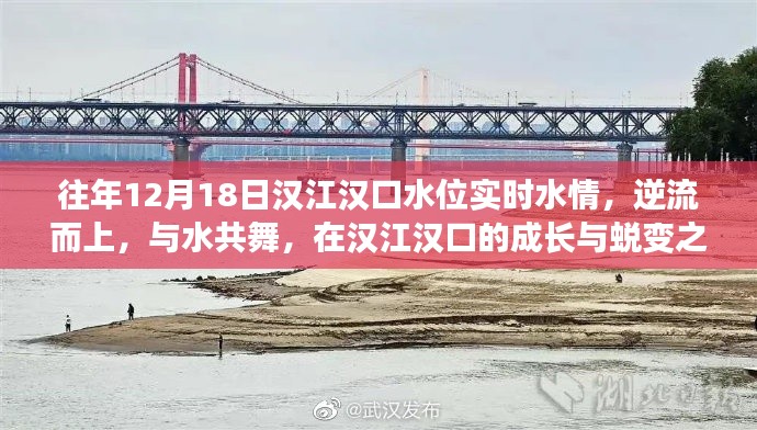 汉江汉口水情实时更新,逆流而上,见证成长与蜕变之旅