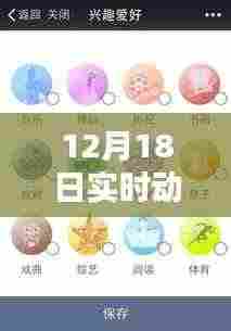 智能实时动态监管科技产品体验报告，线上线下融合，革新未来尽在指尖