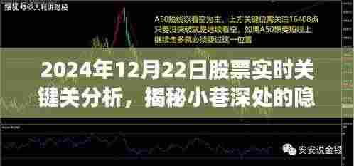 揭秘特色小店股票实时关键分析,2024年12月22日股市洞察与实时股票分析