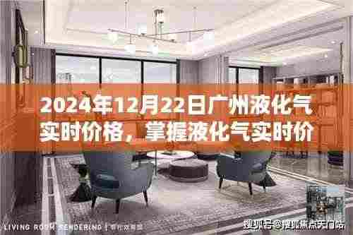 广州液化气实时价格指南,掌握查询技巧,初学者与进阶用户必备知识(2024年12月22日)