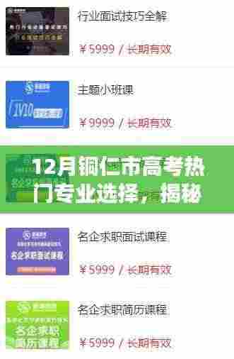 铜仁市高考学子必看,揭秘热门专业选择趋势——高考热门专业选择指南(十二月份版)