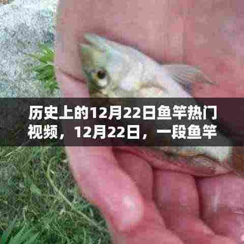 12月22日鱼竿舞动日,重温历史温馨记忆