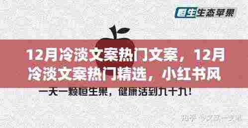 温暖你的十二月,小红书风格精选冷淡文案