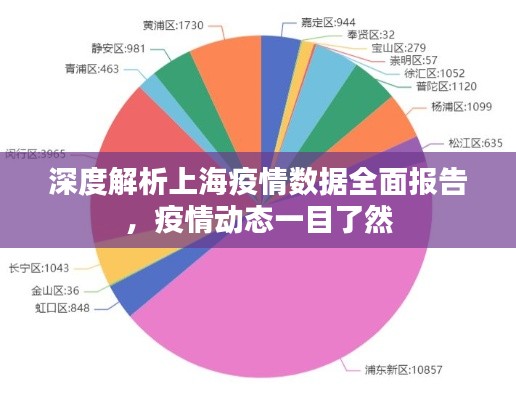 深度解析上海疫情数据全面报告,疫情动态一目了然