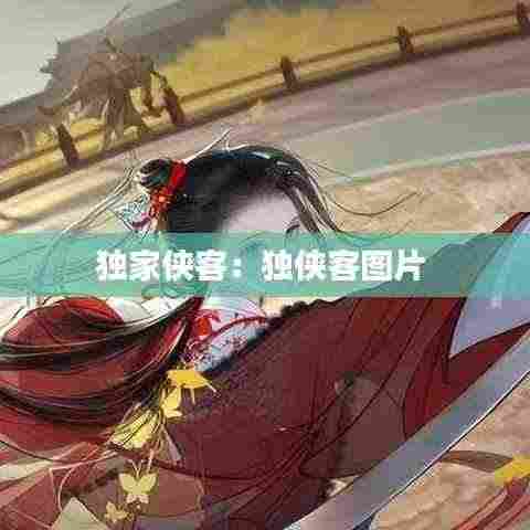 独家侠客:独侠客图片