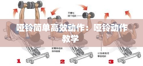哑铃简单高效动作:哑铃动作教学