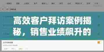 高效客户拜访案例揭秘,销售业绩飙升的秘诀!