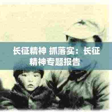 长征精神 抓落实:长征精神专题报告