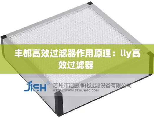 丰都高效过滤器作用原理：lly高效过滤器 
