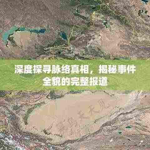 深度探寻脉络真相,揭秘事件全貌的完整报道