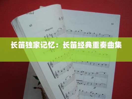 长笛独家记忆:长笛经典重奏曲集