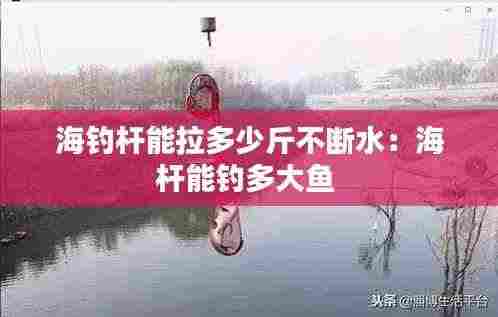 海钓杆能拉多少斤不断水：海杆能钓多大鱼 